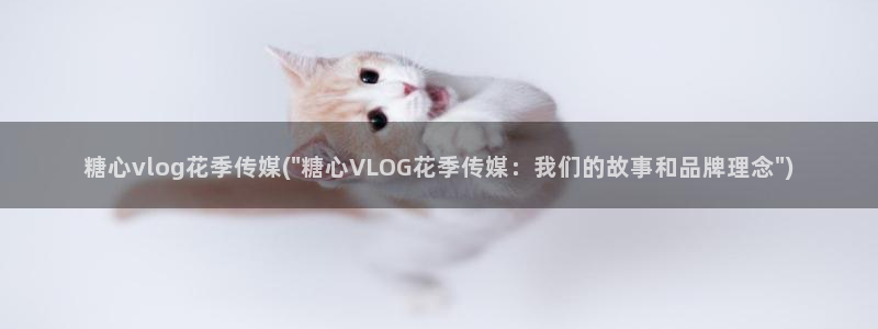 糖心vlog女神苹果
