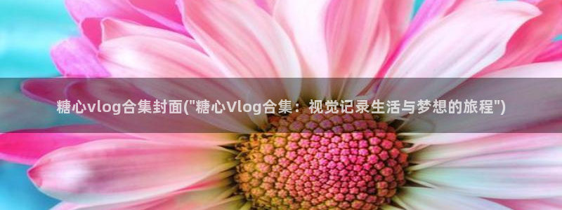 糖心vlog官网版下载