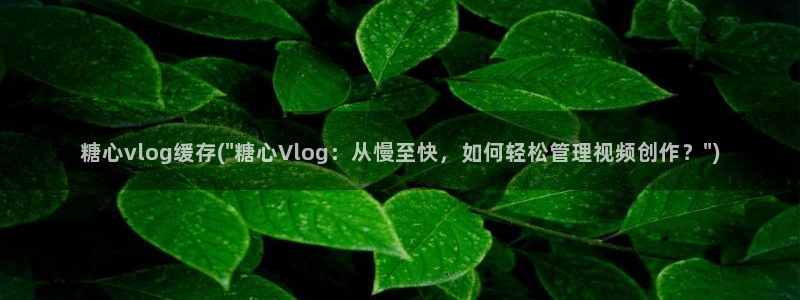 糖心vlog在线时间