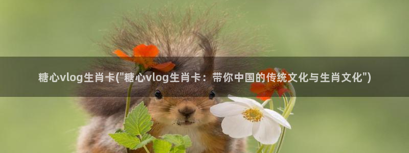 糖心vlog资源下载