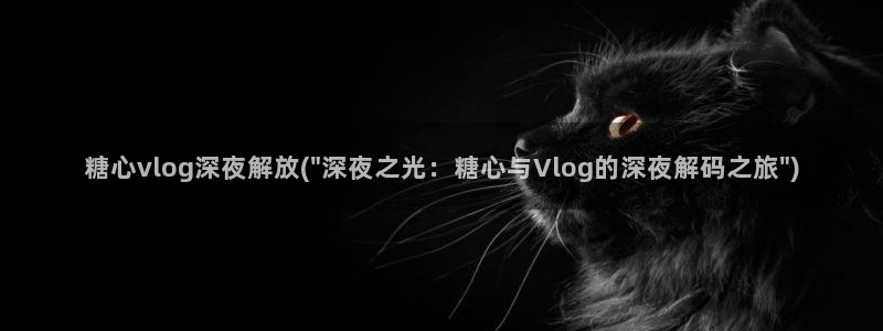 糖心vlog_污