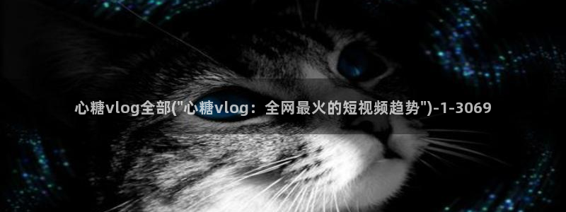 糖心vlog进不去