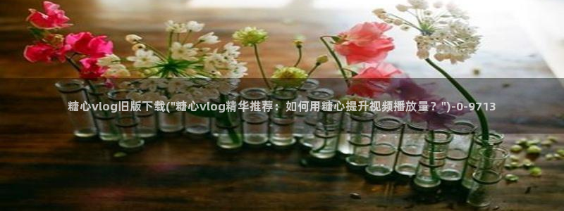 糖心vlog正版下载