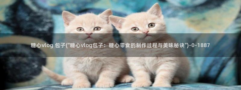 糖心vlog邀请码：糖心vlog 包子(\