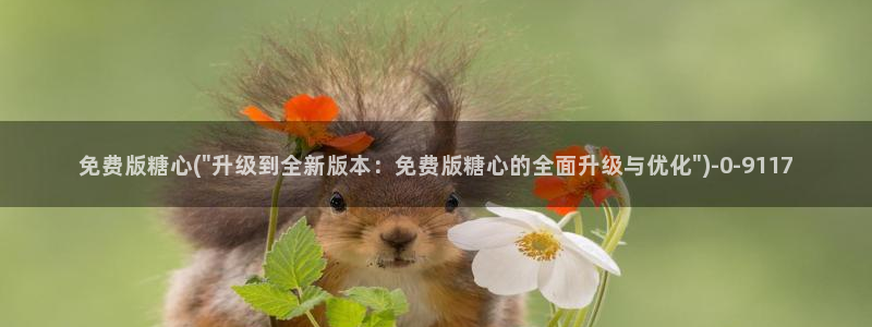 糖心vlog官网在线入口