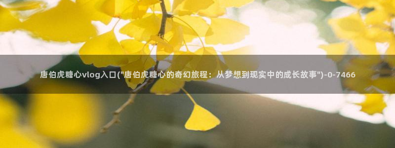 糖心vlog八大家