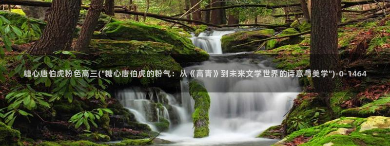 糖心vlog在线观看