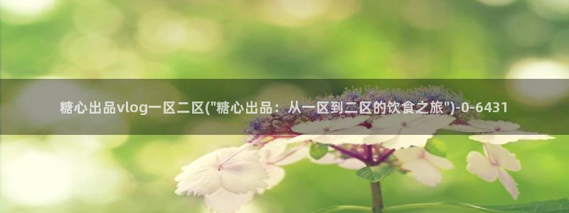 糖心vlog号：糖心出品vlog一区二区(\
