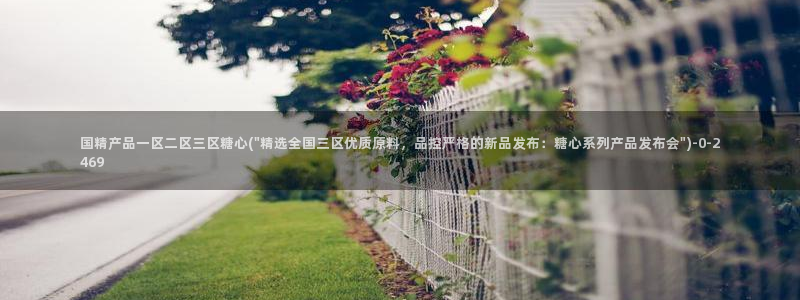 糖心vlog免费破解：国精产品一区二区三区糖心(\