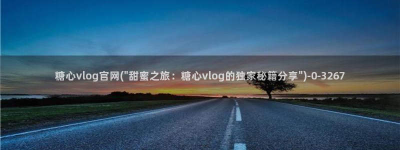 心糖vlog在线