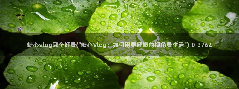 糖心vlog国产入口：糖心vlog哪个好看(\