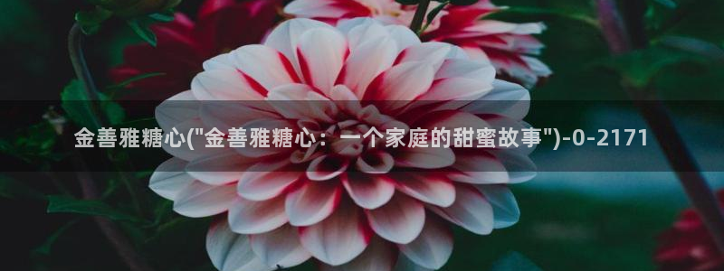 糖心vlog是什么意思