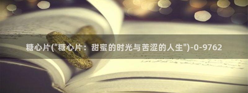 糖心vlog官网破解版