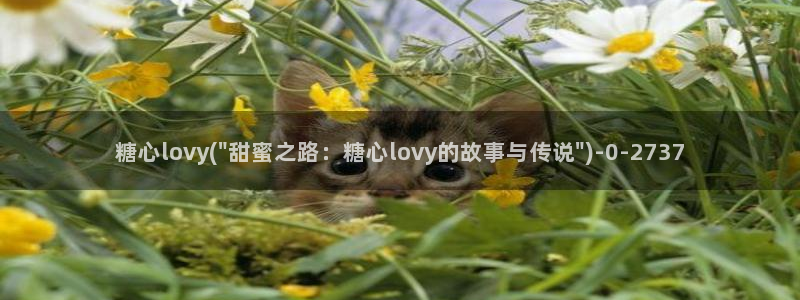 糖心vlog破解板