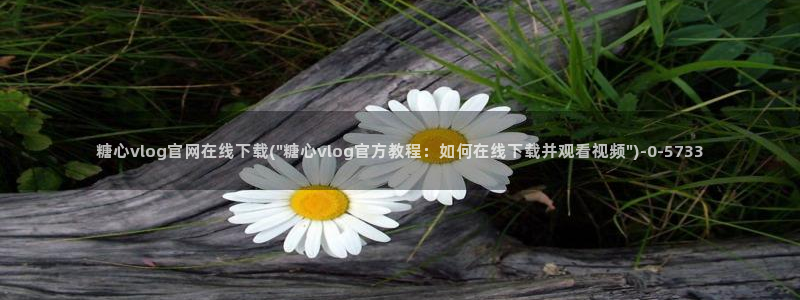 糖心vlog如何下载