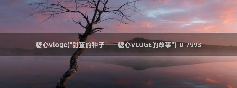 tx糖心vlog
