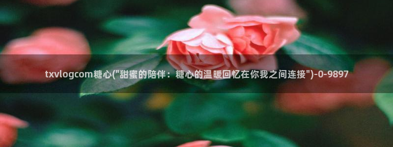 糖心vlog破解版app