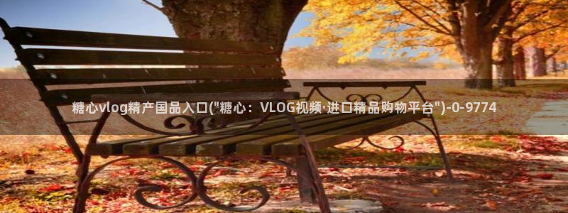 糖心官网vlog