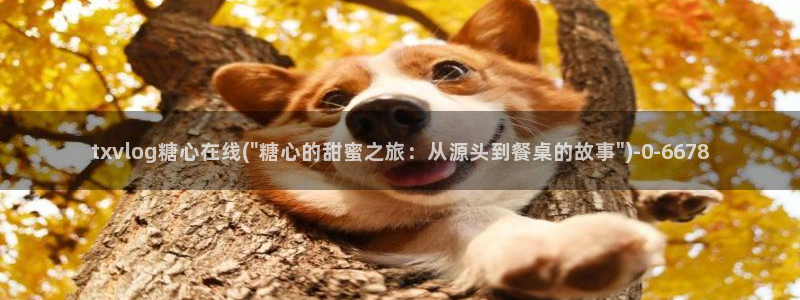 糖心vlog下载方式