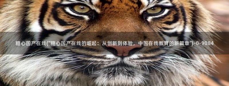 糖心vlog高清无码