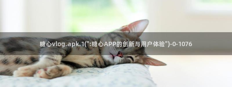 糖心vlog现在观看