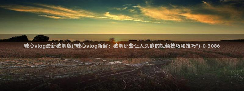 糖心vlog谁最好看